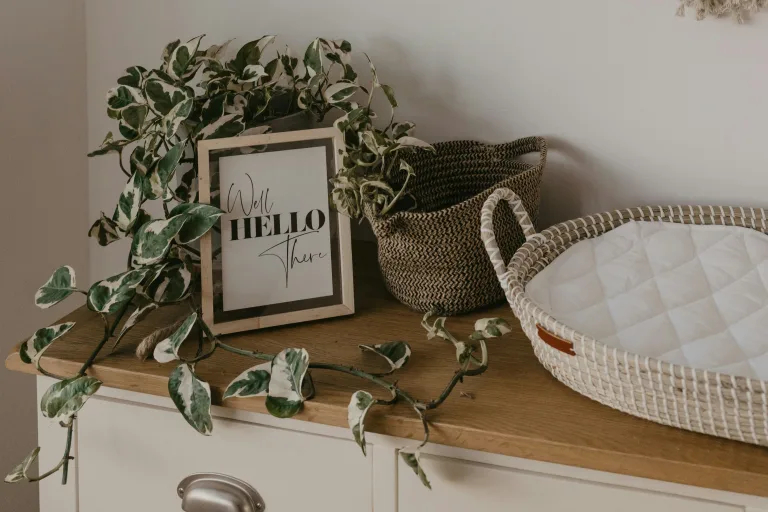 eladó lakásban szekrény